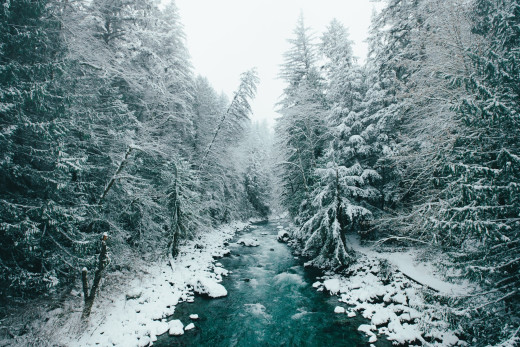 1161212 (a): :2048x1365
